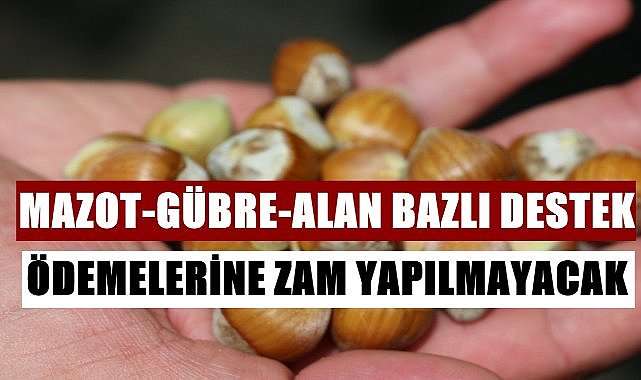 Resmi Gazete&#039;de yayımlandı; Fındık üreticilerine alan bazlı destek ödemelerinde zam yok!