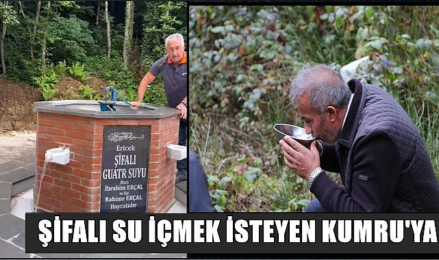 Şifalı su içmek isteyenler Kumru&#039;ya akın ediyor!  Şifalı suyun  guatr hastalığına iyi geldiğine inanılıyor