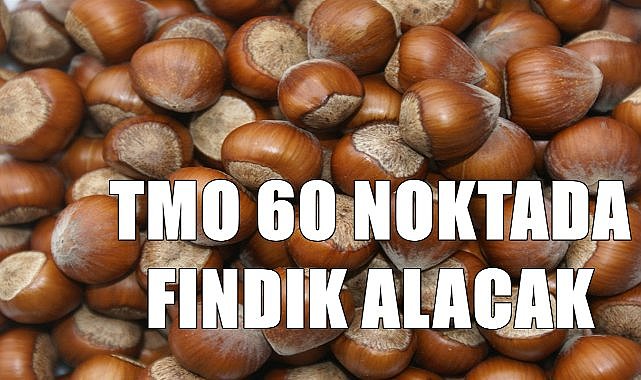 TMO&#039;da son dakika gelişmesi! TMO 60 merkezde fındık alacak