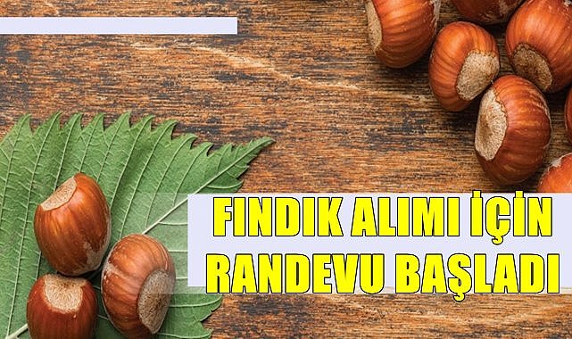 TMO fındık alımı için randevu vermeye başladı! TMO&#039;dan randevu nasıl alınır?