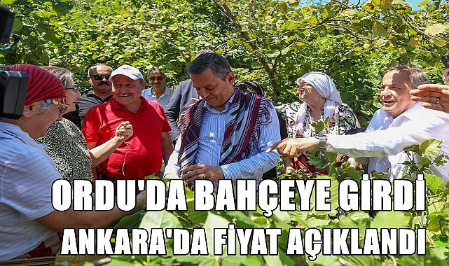 TMO fındık fiyatını açıklamak için Özgür Özel&#039;in fındık bahçesine girmesini beklemiş!
