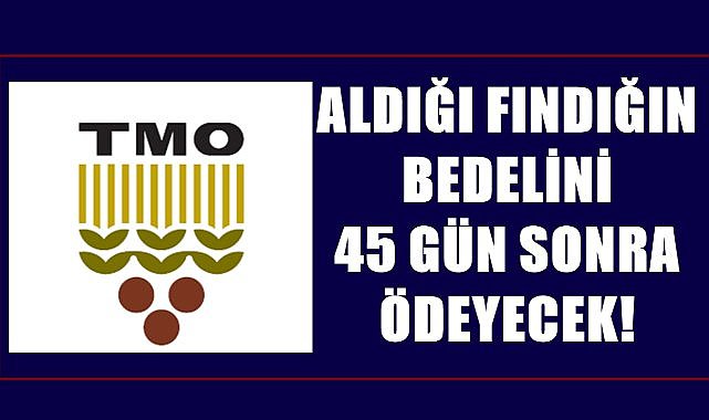 TMO fındık paralarını 45 günde ödeyecek!  Ağustos&#039;ta fındık veren parasını Ekim&#039;de alacak