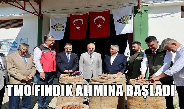 TMO Ordu&#039;da fındık alımına başladı