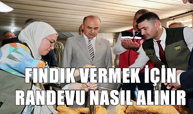 TMO&#039;ya fındık vermek için randevu nasıl alınır? İşte o soruların cevabı