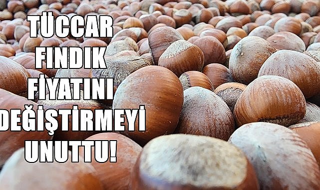 Tüccar fındık fiyatını değiştirmeyi unuttu!
