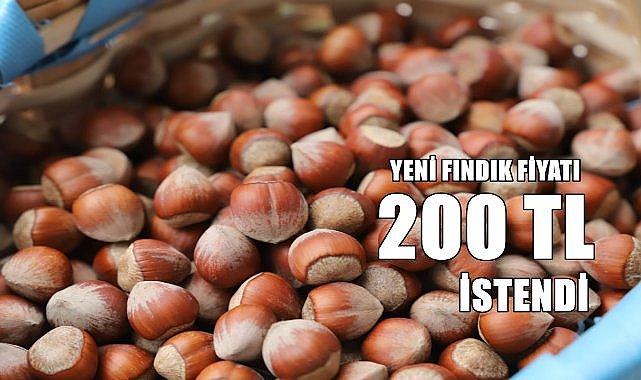 Yeni fındık için istenen fiyat 200 TL