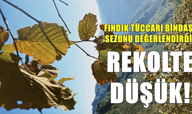 Yılmaz Bindaş&#039;tan fındık piyasasıyla ilgili önemli tespitler