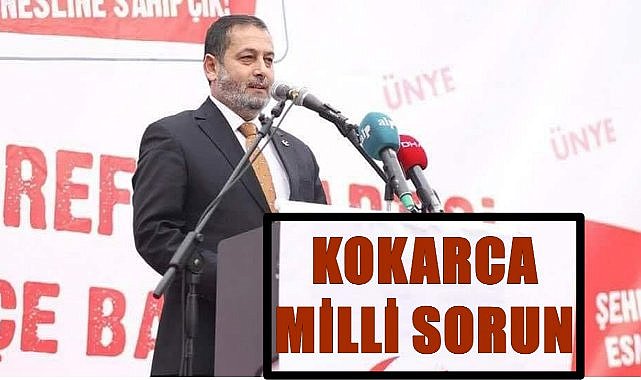 YRP İl Başkanı Ağca; Fındıkta kokarca milli sorundur