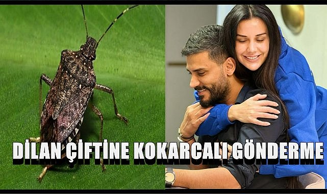 Dilan, Engin Polat Çiftine Kokarcalı Gönderme; Fındığa Zarar Veren Kokarca Sizin Kadar Haber Olmuyor