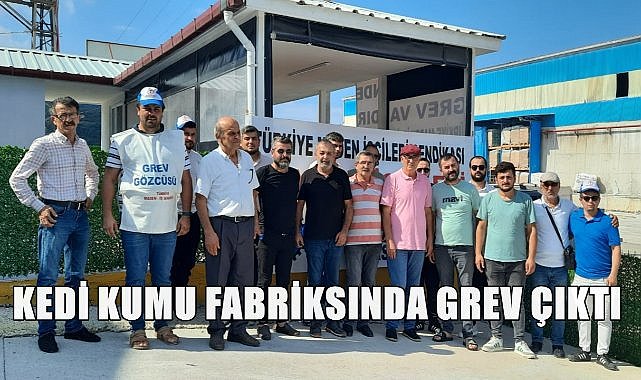 Fatsa&#039;da Kedi Kumu Fabrikasında İşçiler Greve Gitti