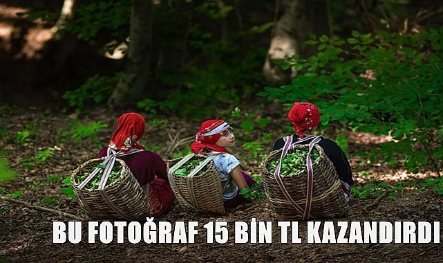 Fındık Aşkı Fotoğraf Yarışması Sonuçlandı: Birinciye 15 Bin TL Ödül!