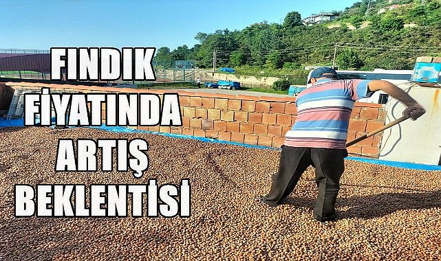 Fındık Fiyatında Artış Beklentisi; Uzmanlar O Tarihi İşaret Ediyor