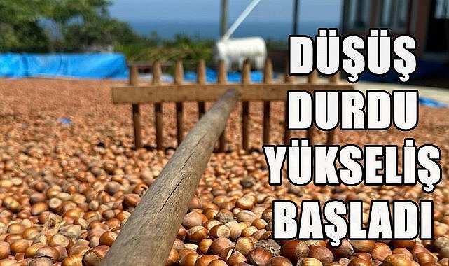 Fındık fiyatında düşüş durdu, yükseliş başladı; Fındık fiyatı kaç TL oldu
