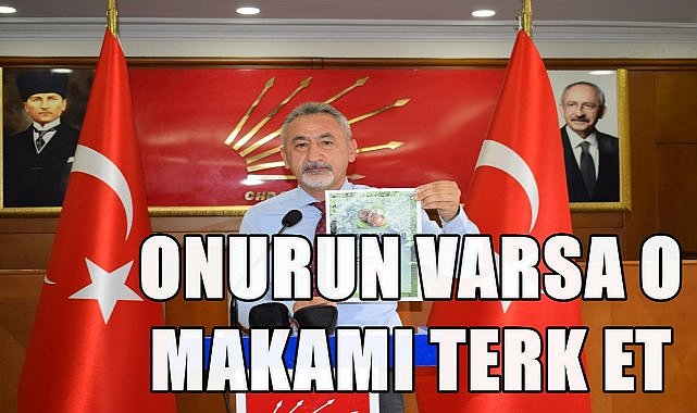 Fındık Üreticisi Zor Durumda; Adıgüzel&#039;den Ferrero ve Fiskorbirlik&#039;e Sert Tepki