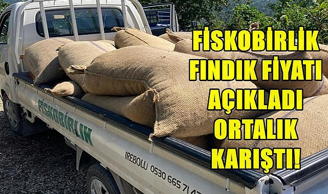 Fiskobirlik&#039;in Yeni Açıkladığı Fındık Fiyatı Tüccarın Altında Kaldı