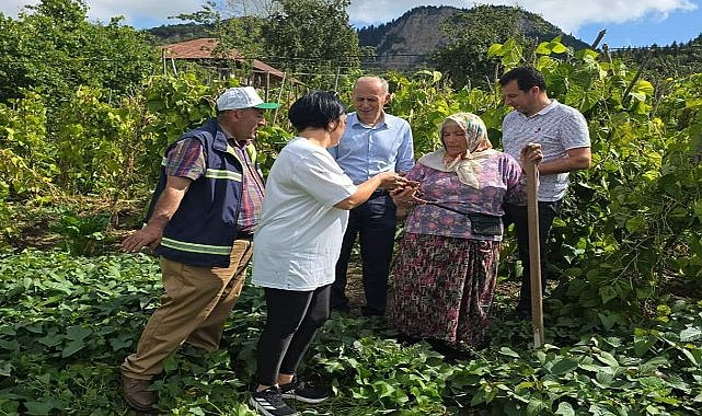Giresun&#039;da Kırmızı Patates Yetiştiriciliği Başarıyla Sonuçlandı