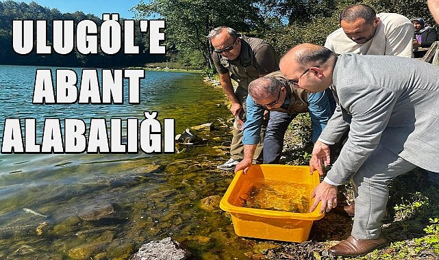 Maçka Altındere&#039;de Yetiştirilen Alabalıklar Gölköy Ulugöl&#039;e Bırakıldı