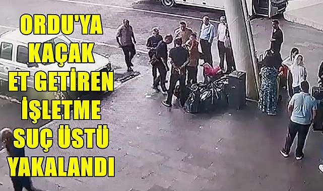 Ordu&#039;da 300 Kilo Kaçak ve Sağlıksız Et Ele Geçirildi