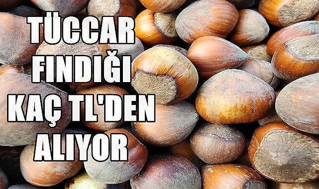 Ordu&#039;da Fındık Fiyatı