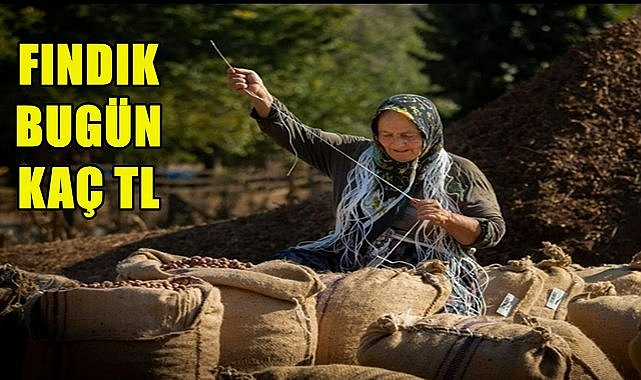 Ordu&#039;da Fındık fiyatı kaç TL oldu?