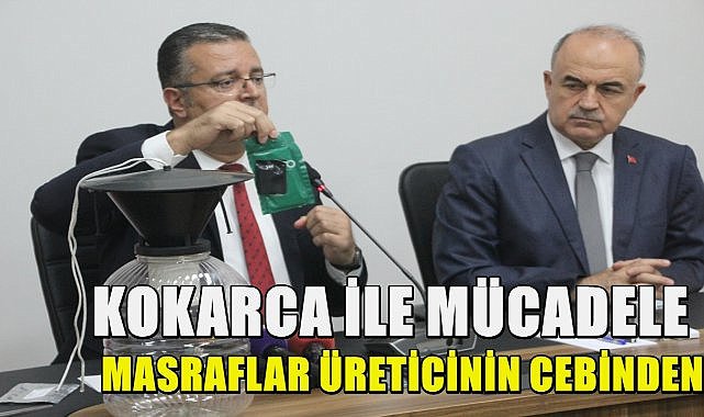 Ordu&#039;da Kahverengi Zararlısına Karşı Mücadele Sürüyor