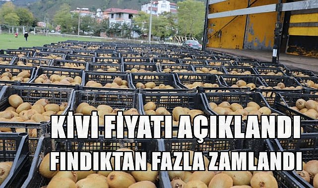 Ordu&#039;da Kivi Fiyatı Açıklandı: Fiyatlar Yüzde 100 Zamlandı
