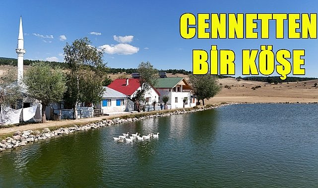 Ordu&#039;da Yeni Rota; Mesudiye Ulugöl Yaylası&#039;nda Doğa İle Buluşun