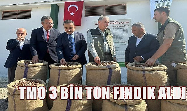 TMO Genel Müdürü Gürdal: Ordu&#039;da 600 Ton Fındık Alımı Yapıldı
