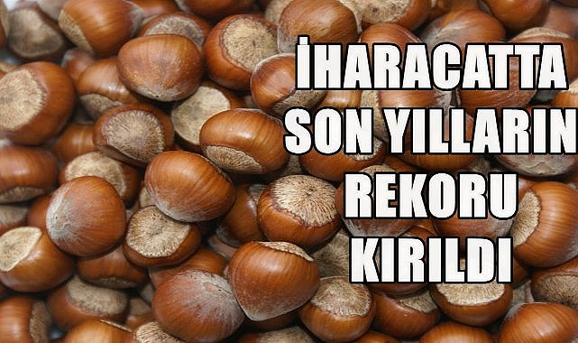 Türkiye Fındık İhracatında Rekor Kırdı; 1 Yılda 2.3 Milyar Dolar Döviz Girdisi Sağlandı