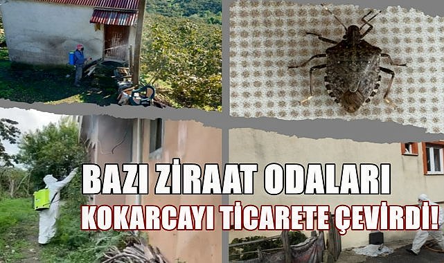 Adıgüzel Açıkladı; Bazı Ziraat Odaları Kokarca İşini Ticarete Çevirdi