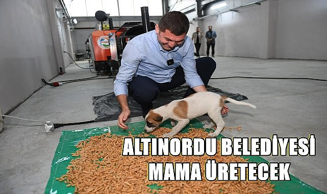 Altınordu Belediyesi Sokak Hayvanları İçin Mama Üretmeye Başladı