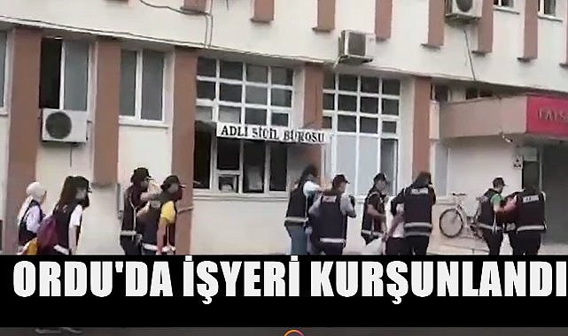 Fatsa&#039;da 7 Kişi Gözaltına Alındı 2 Kişi Tutuklandı