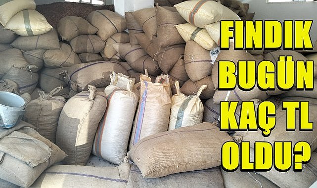 Fındık Fiyatı 07.10.2024
