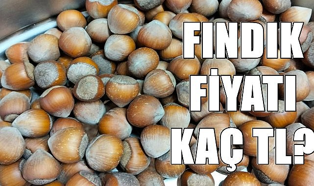 Fındık Fiyatı 20.10.2024