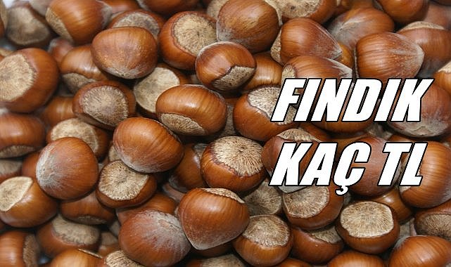 Fındık Fiyatı 26.10.2024