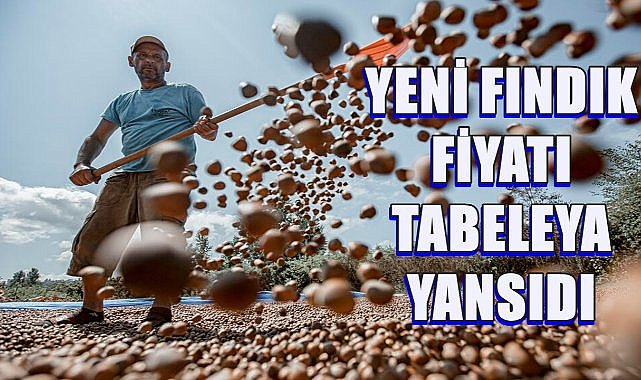 Fındık Fiyatı Tabelaya Yansıdı; Fındık Ekim Ayına Yükselişle Girdi