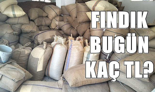 Fındık Fiyatı Tüm illerde Yükselmeye Başladı; İl İl Fındık Fiyatı
