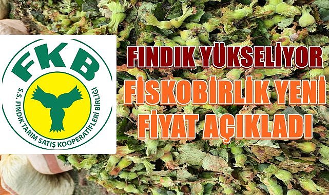 Fındık Fiyatı Yükseldi; Fiskobirlik Fındık Fiyatı Açıkladı