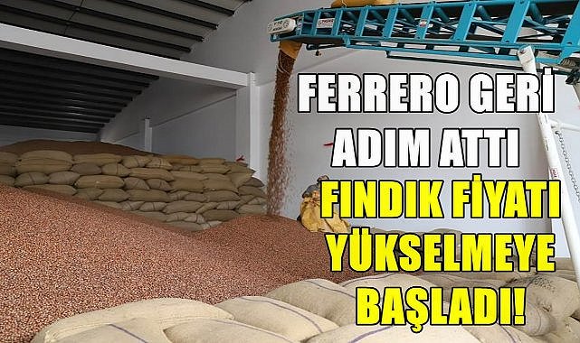 Fındık Fiyatında Yükseliş; Ferrero&#039;nun Geri Adımı Piyasayı Hareketlendirdi
