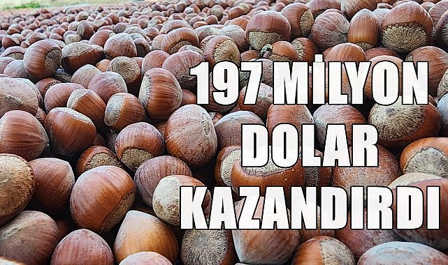 Fındık İhracat Sezonunun İlk Ayında 24 Bin 926 Ton İç Fındık İhraç Edildi