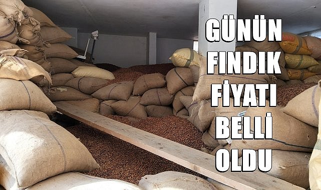 İllere Göre Fındık Fiyatı, Ordu, Samsun, Trabzon, Giresun, Sakarya, Zonguldak, Düzce