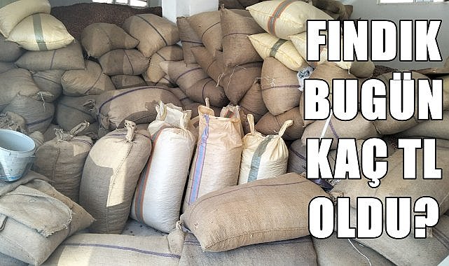 Ordu&#039;da 22 Ekim Salı Günü Fındık Fiyatı