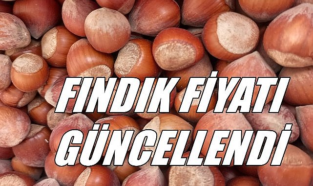 Ordu&#039;da Fındık Fiyatları Güncellendi; Fındık Fiyatı 125 TL&#039;ye Dayandı