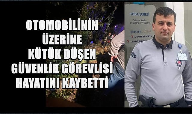Ordu&#039;da İnanılmaz Kaza; Kamyondaki Kütükler Otomobilin Üzerine Düştü Sürücü Öldü