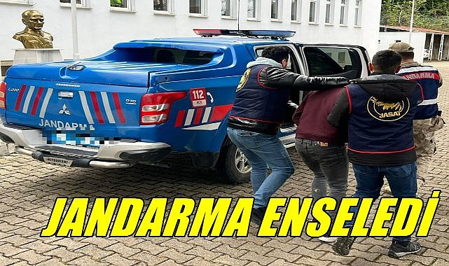 Ordu&#039;da Jandarma Nitelikli Suçlardan Aranan 4 Kişiyi Yakaladı