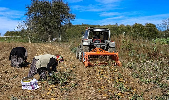 Ordu Tarımda Yeni Model Oluşturdu; Üretici Daha Fazla Kazandı
