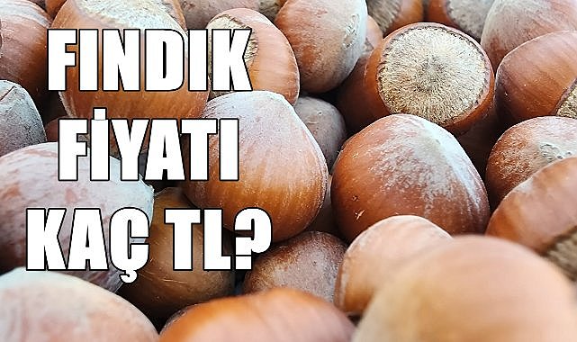 Fındık Fiyatı 02.11.2024