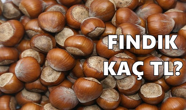 Fındık Fiyatı 03.11.2024