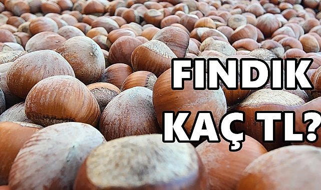 Fındık Fiyatı 04.11.2024