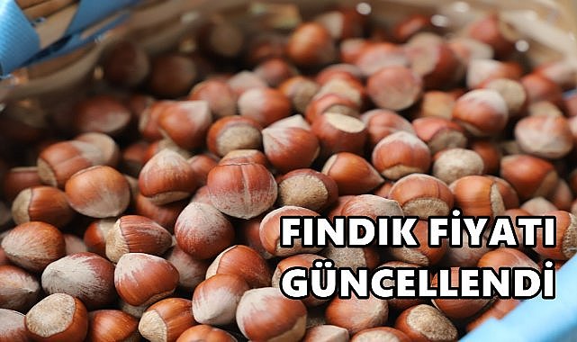 Fındık Fiyatı 10.11.2024